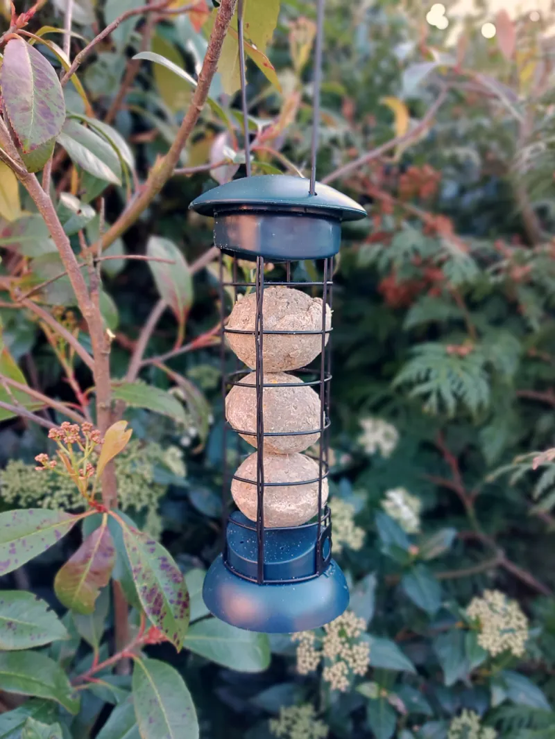 Copdock Mill Feeder Easy Fill and Clean Suet Ball-1